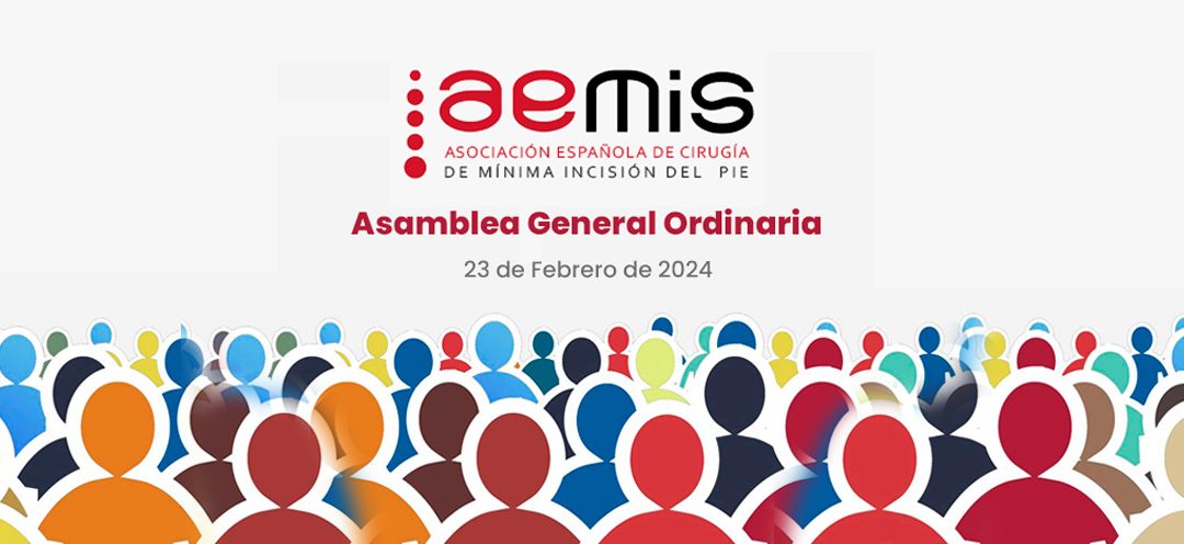Asamblea General Ordinaria AEMIS 2024