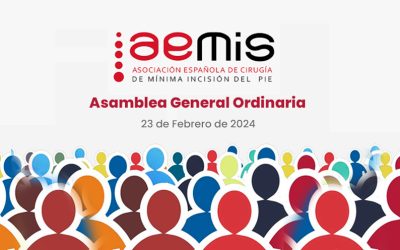 Asamblea General Ordinaria AEMIS 2024