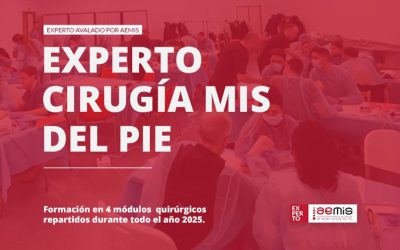 Experto Cirugía MIS del Pie 2025